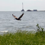 NTSB says company failed to shut down oil pipeline for nearly 13 hours after pressure dropped