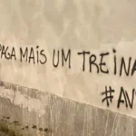 Dragão acorda com graffitis: «AVB traidor, paga mais um treinador»