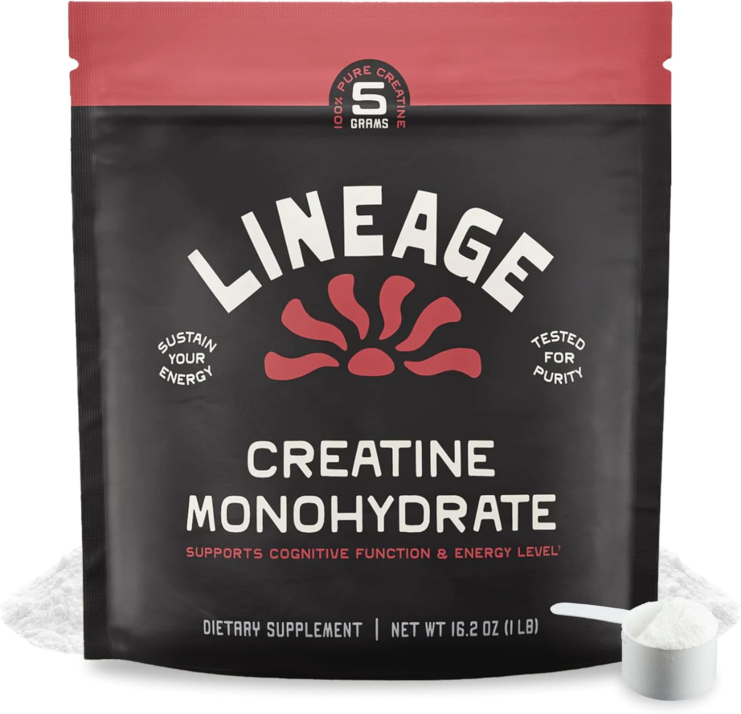 Micronized Creatine Monohydrate with Sea Salt – Micronized Creatine Powder for Training & Performance – No Artificial Ingredients – 90 Servings