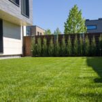 Florida Homeowner Says Neighbor Reported 8-Inch Grass ‘BECAUSE IT Looks Bad’-Now She’s Facing at $ 5,000 Fine Rule on Height