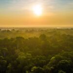 “Let’s lose the Amazon,” says climatologist about Global Warming