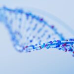 Scientists begin creation of synthetic human DNA from scratch