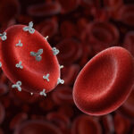 Scientists discover new blood type: negative Gwada