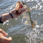 SC river the ‘most contaminated’ from dangerous forever chemicals, study finds